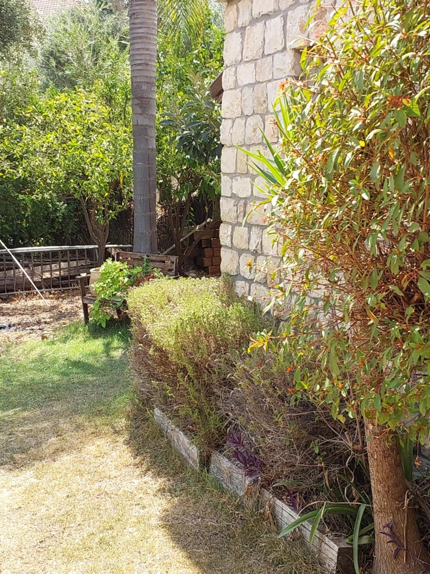 Neve Nof Apartment Rosh Pinna Phòng bức ảnh