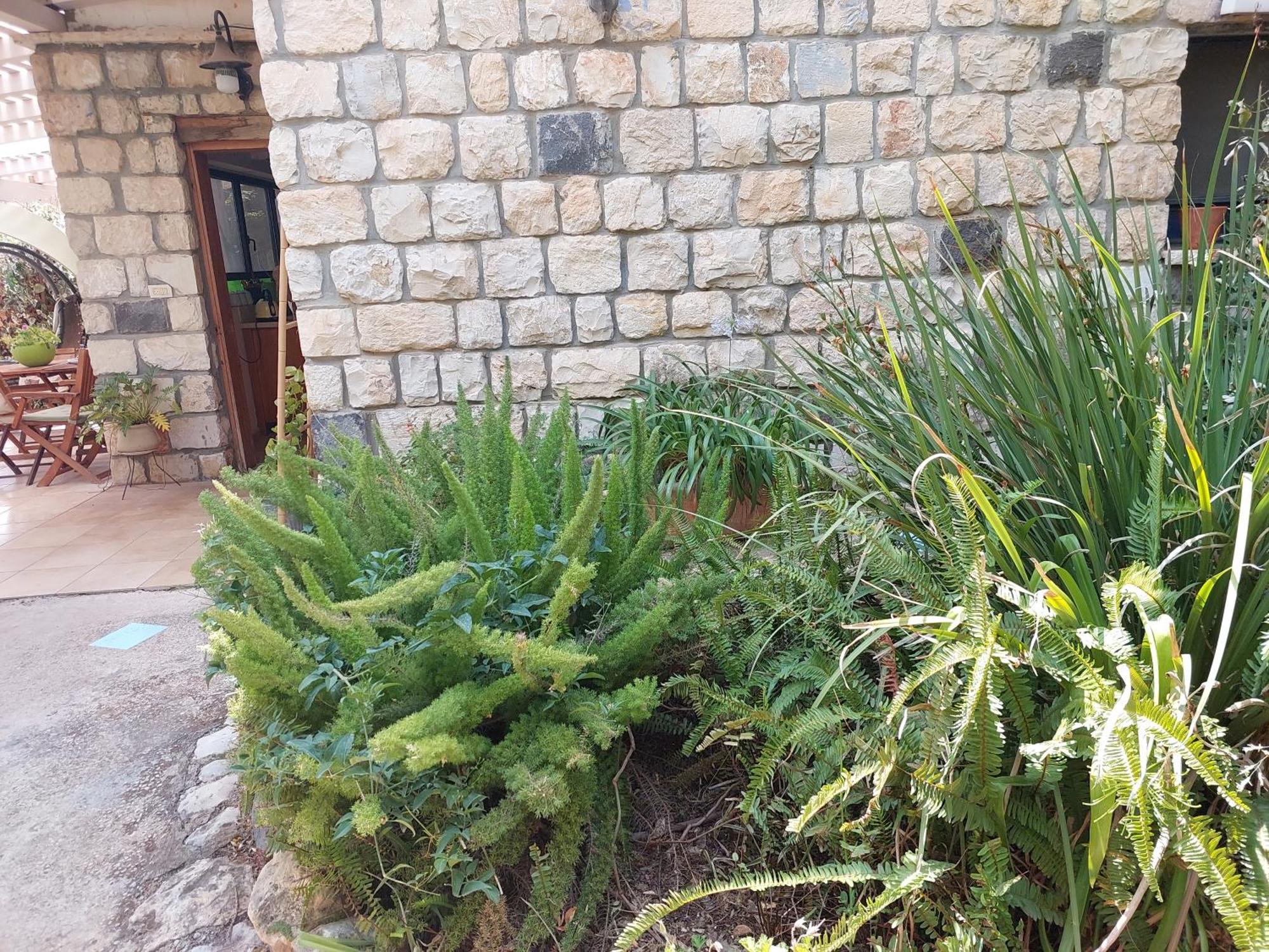 Neve Nof Apartment Rosh Pinna Phòng bức ảnh
